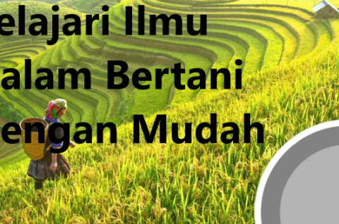 Pelajari Ilmu Dalam Bertani Dengan Mudah